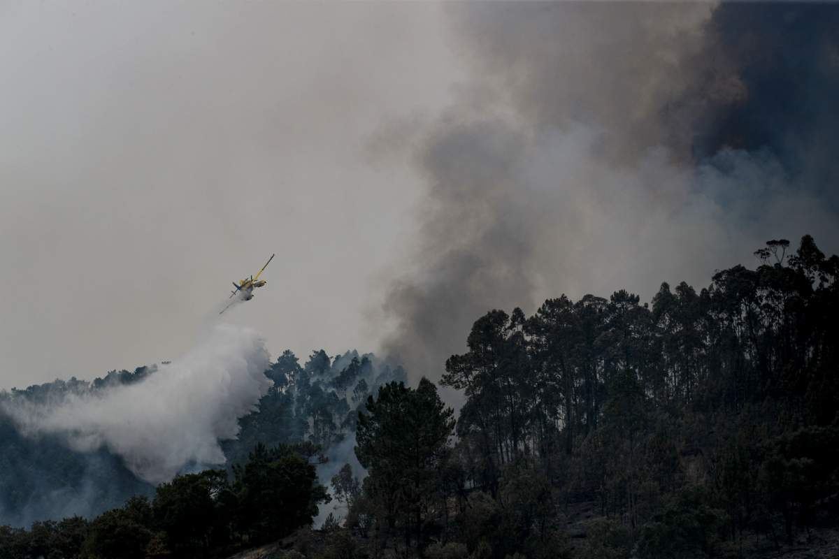 Portugal wildfires