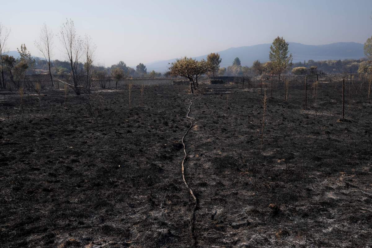 Spain Wildfires