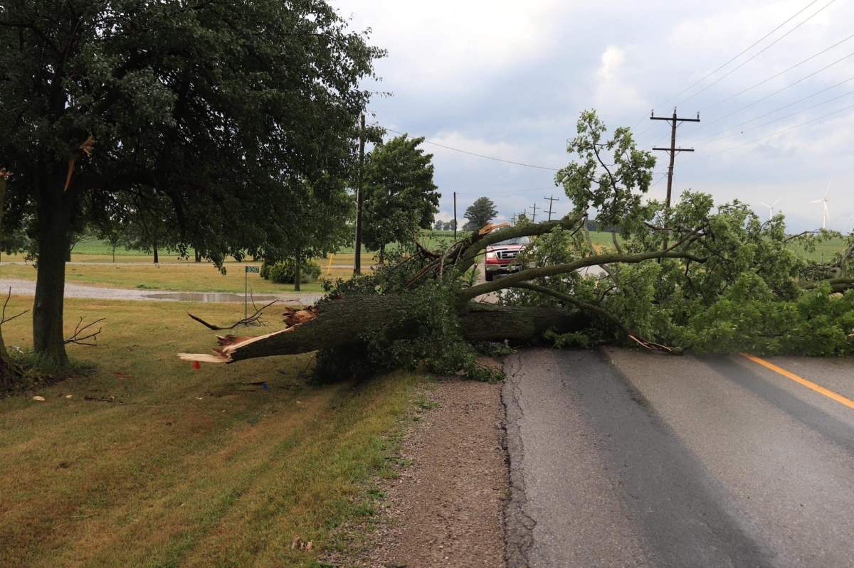 A large branch blocking the roadway, located near Thedford.