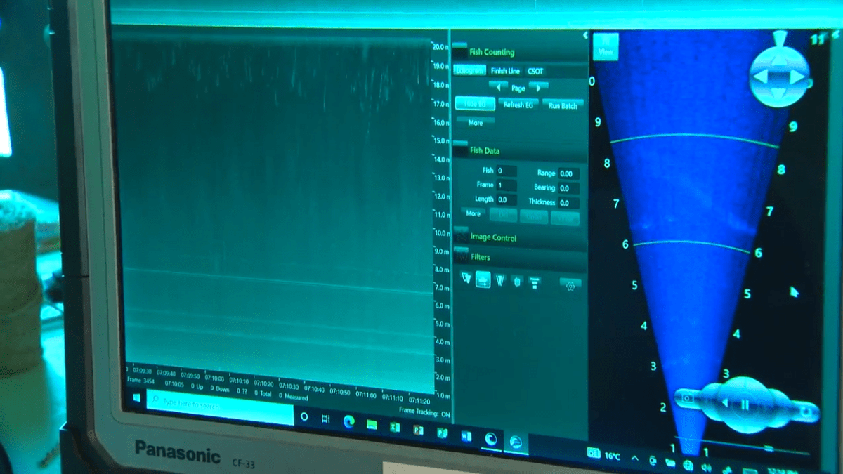 The Sumas First Nation is using sonar and on-the-river observation to track salmon stocks in real time. 