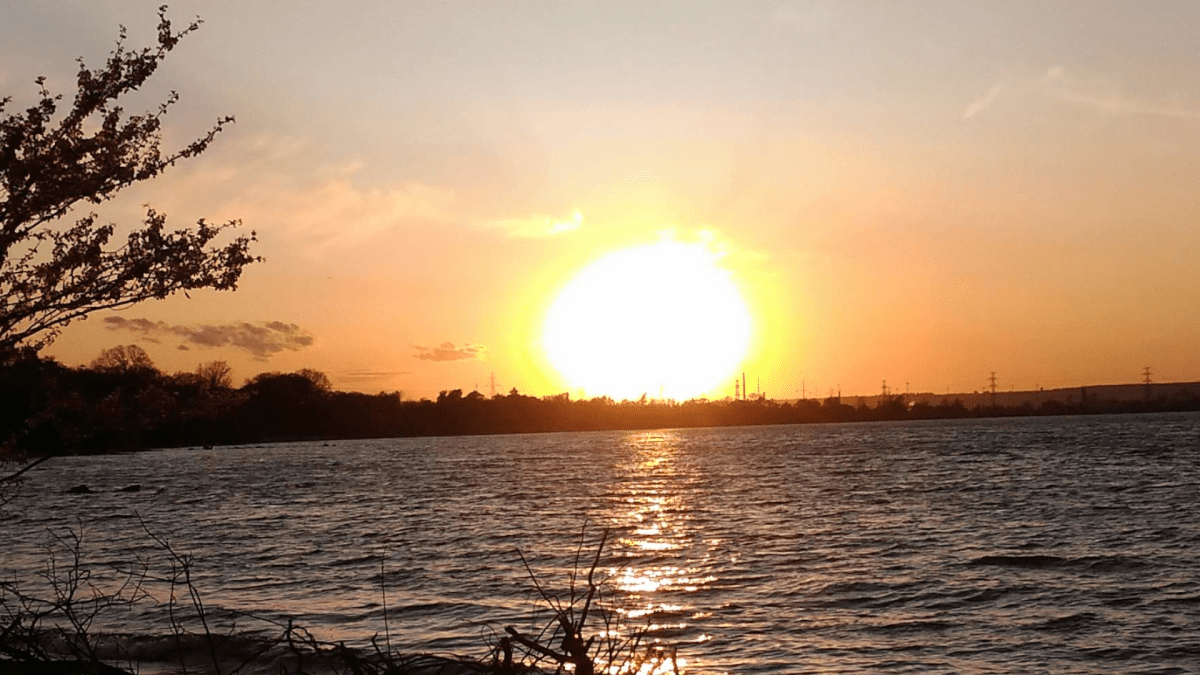 Hamilton's medical officer of health is urging residents to be cautious during the extreme heat warning forecast for Monday Aug. 8, 2022.
