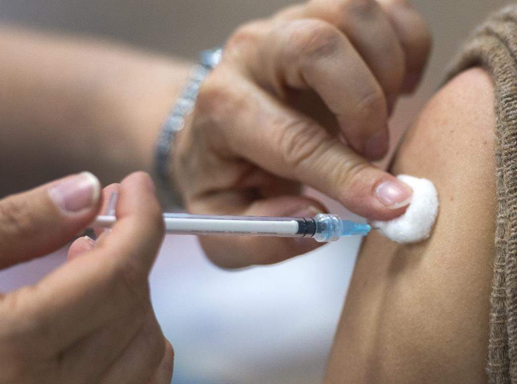 The Haliburton, Kawartha Pine Ridge District Health Unit reports 146 active cases of COVID-19 within its jurisdiction on Aug. 24, 2022.