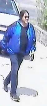 Suspects sought after 2 break-ins reported in Toronto: police - image