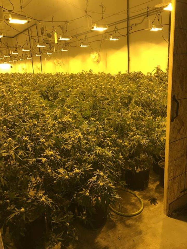 Charges are pending against several different people after Edmonton police officers raided a warehouse and several homes last month, seizing over $3.3 million worth of cannabis products they allege were part of an unlicensed retail operation.