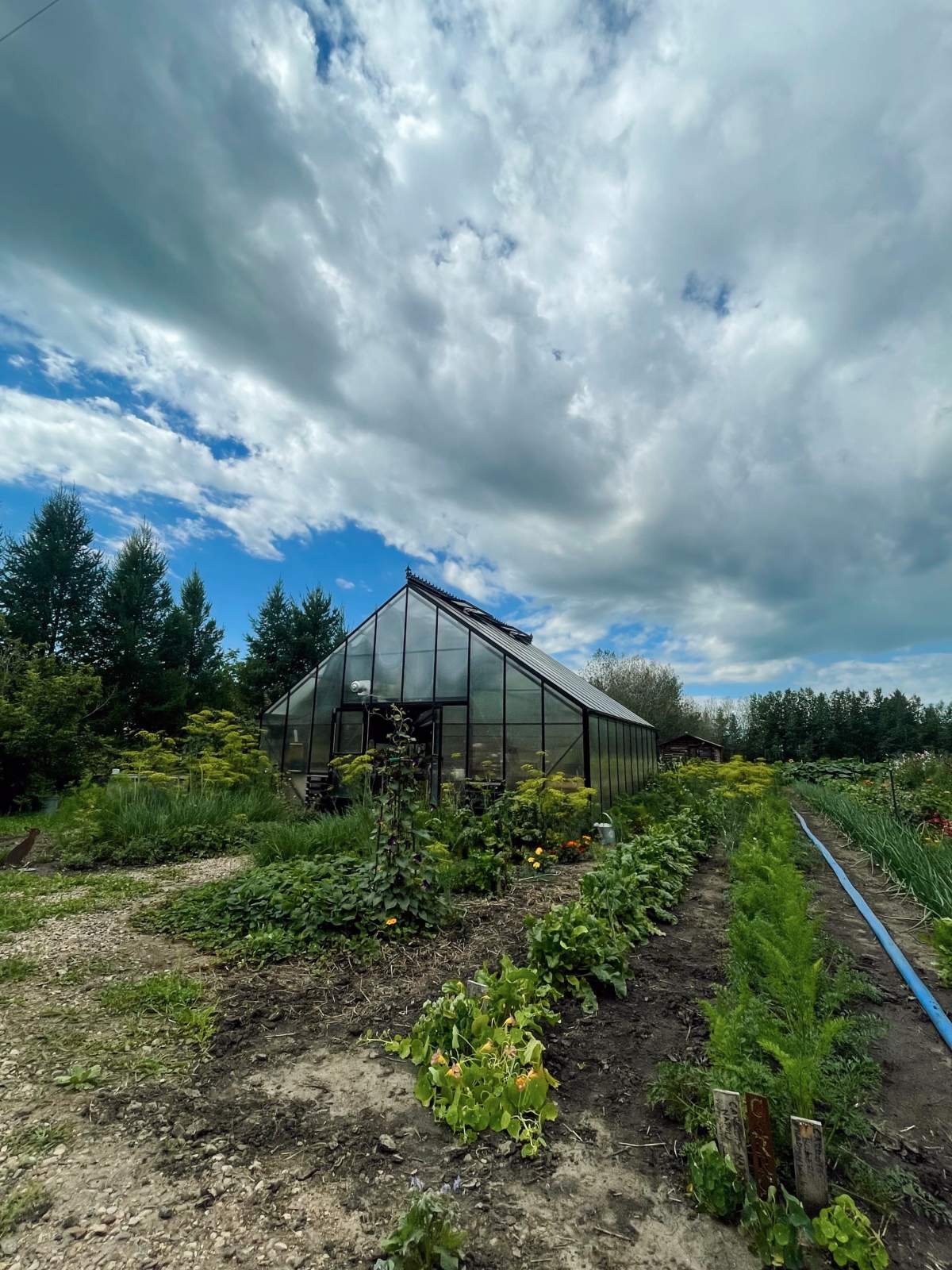Chatsworth Family Farms
