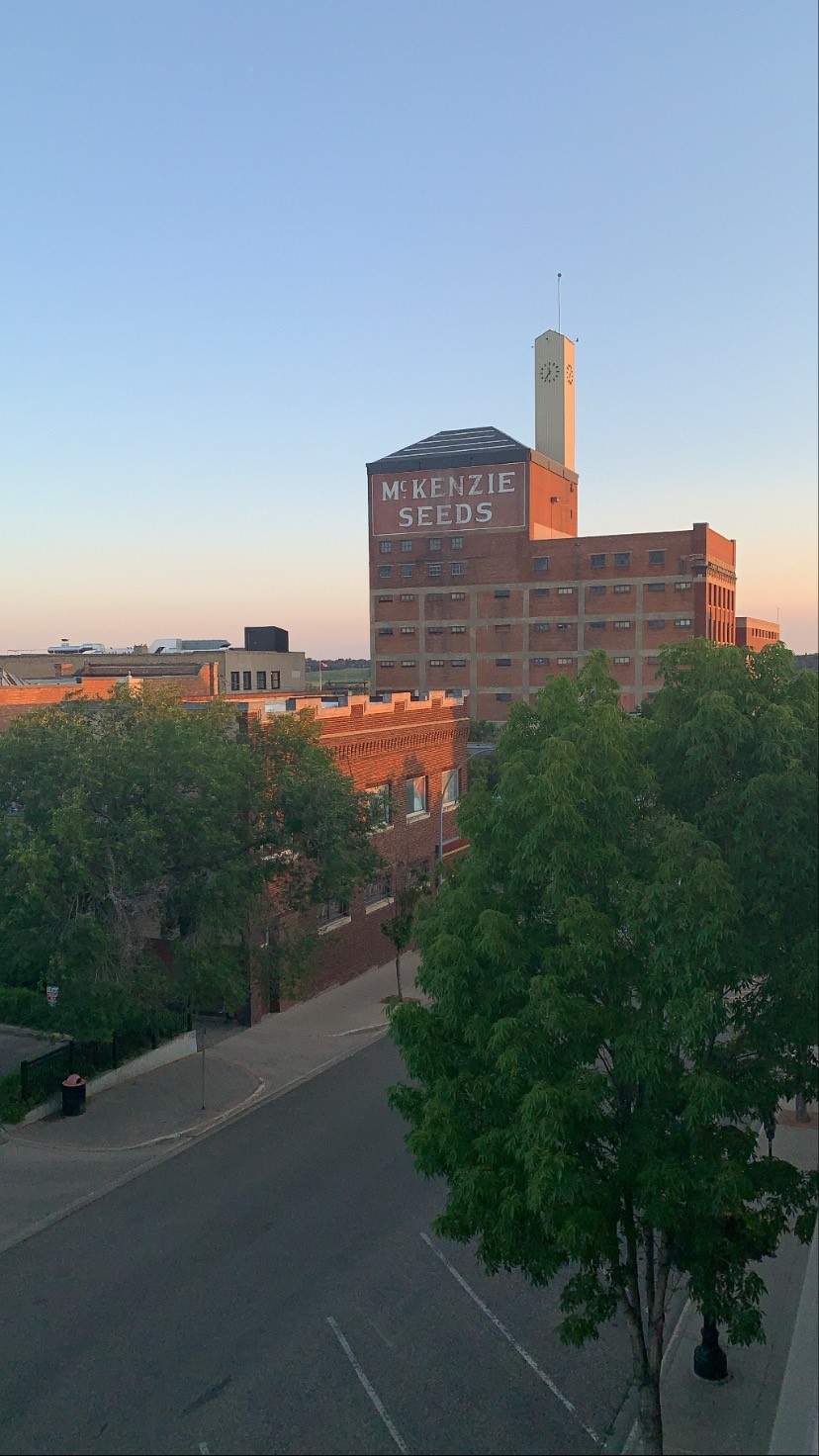 New ‘harmful’ street drug found in Prairie Mountain Health - image