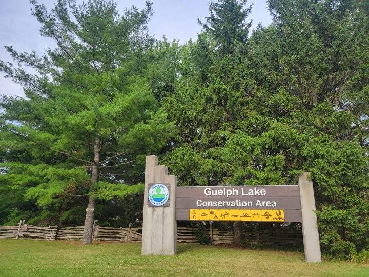 Police, paramedics and local fire were dispatched to the Guelph Lake Conservation Area and a search began for the swimmer, police said.