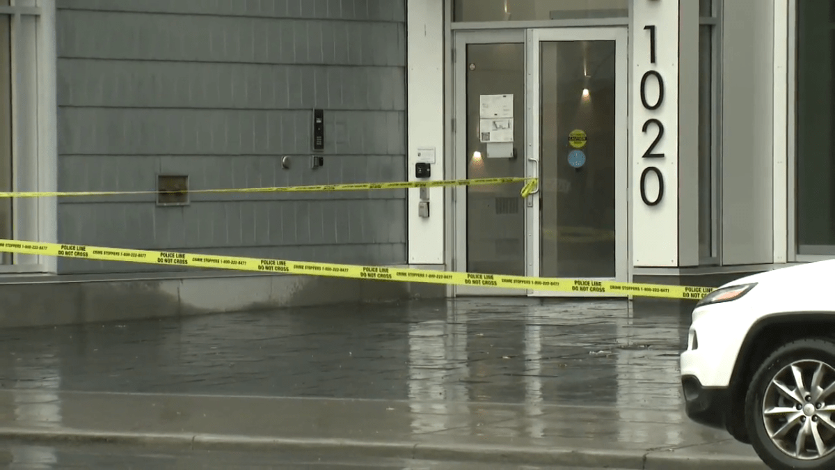 Police investigate fatal assault in southeast Calgary - image