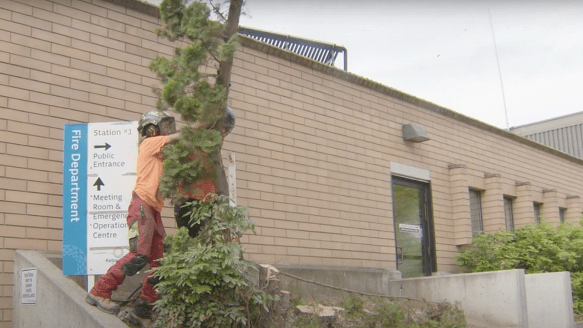 With hot weather in the forecast for the next two weeks, wildfire prevention in urban areas is a priority for the Kelowna Fire Department. That prevention includes removing combustible vegetation within 1.5 metres of a home or a building.
