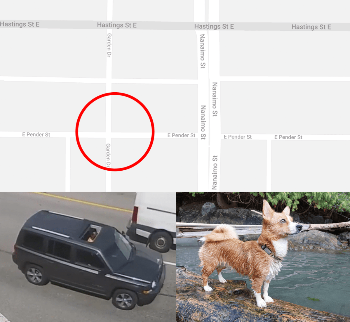 Vancouver hit and run