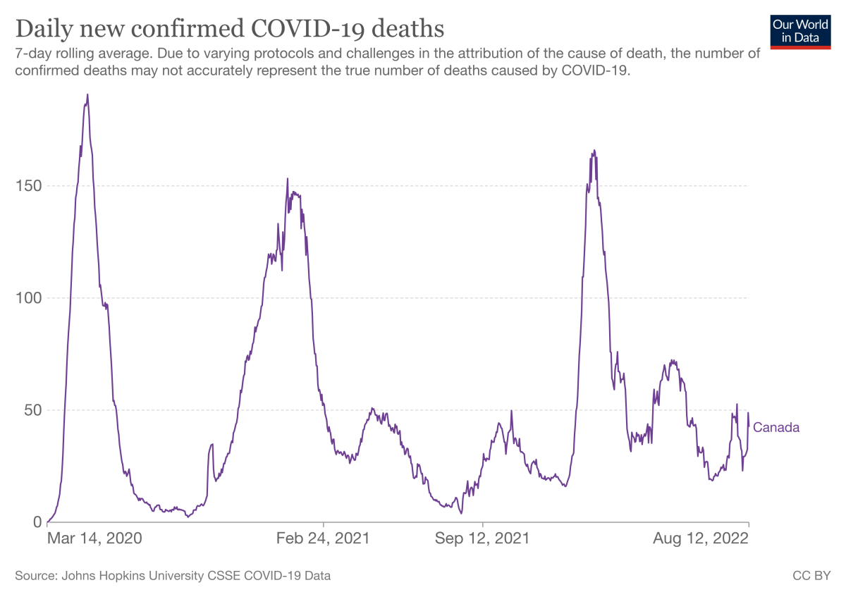 COVID-19 hospitalizations and deaths in Canada stable, but higher than past summers - image