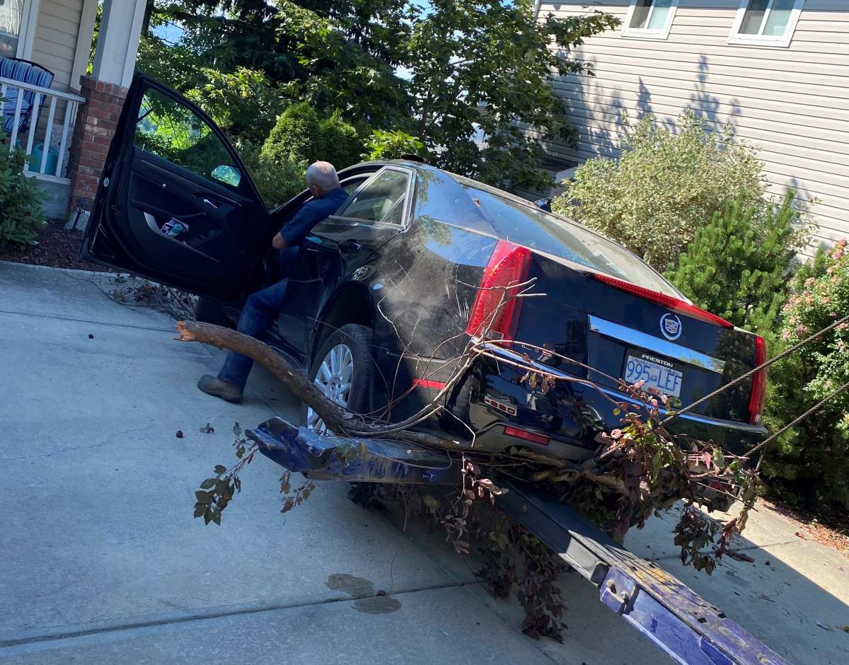 A crash on Doucette Drive left nobody injured but many shaken.