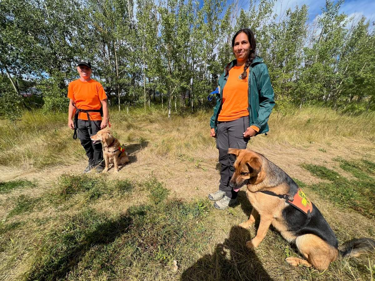 Members of Canadian Search and Disaster Dogs Association search southeast Edmonton for Howard Rho, Aug. 28, 2022.