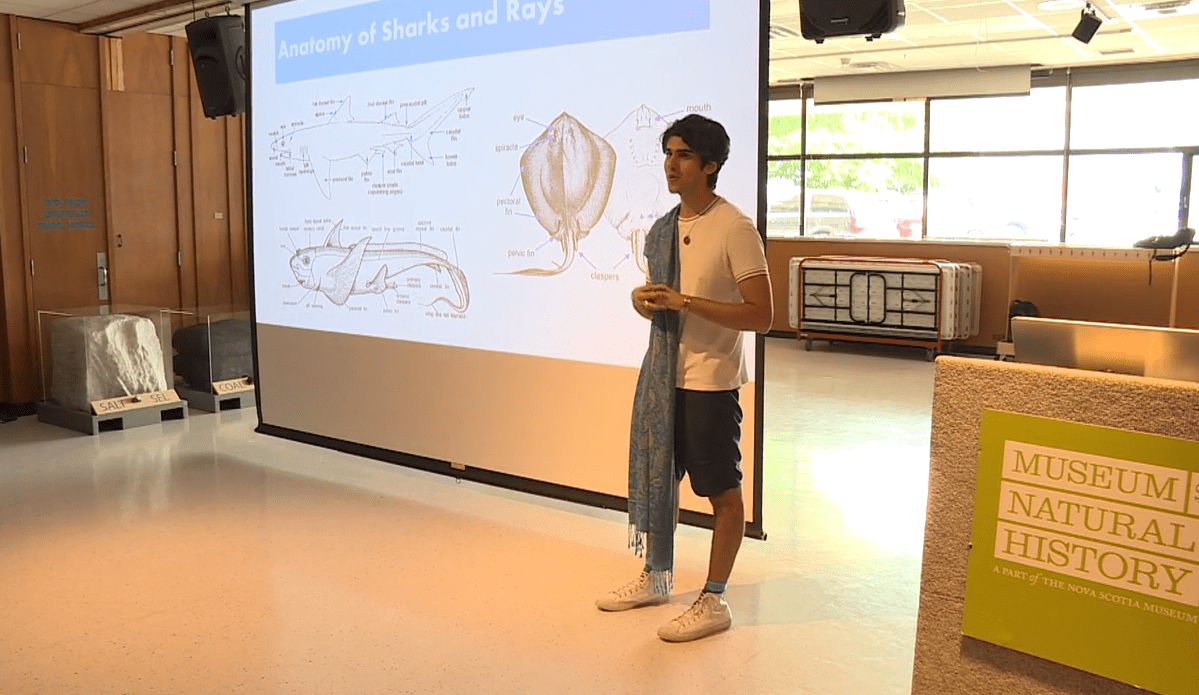 Aaron Judah lead a shark dissection workshop with Diversity of Nature Wednesday.