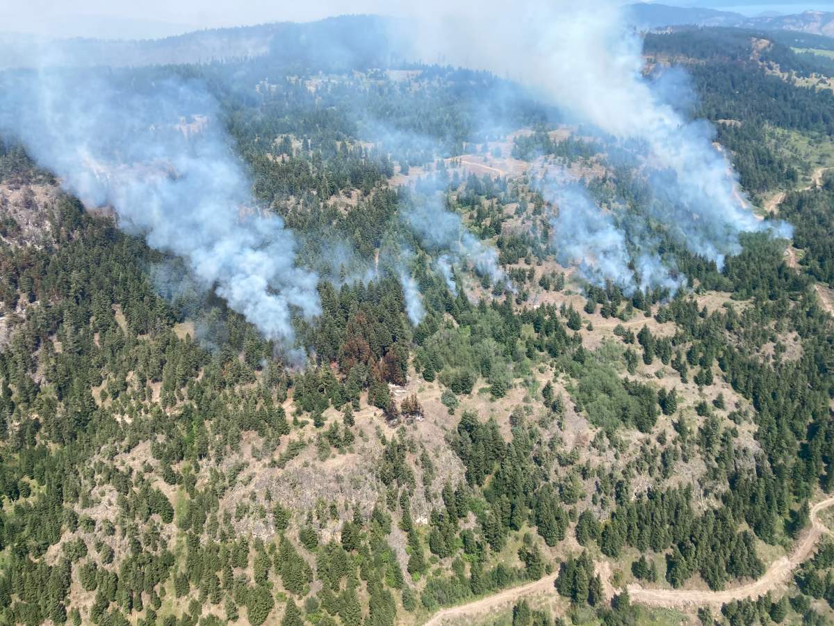 Small hand ignitions along Sheep Creek. Posted at 1330 Aug 7 2022.