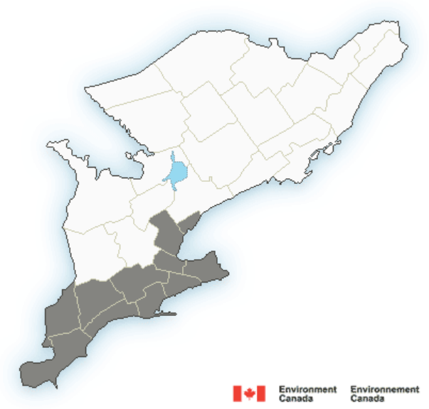 Areas covered by the special weather statement.