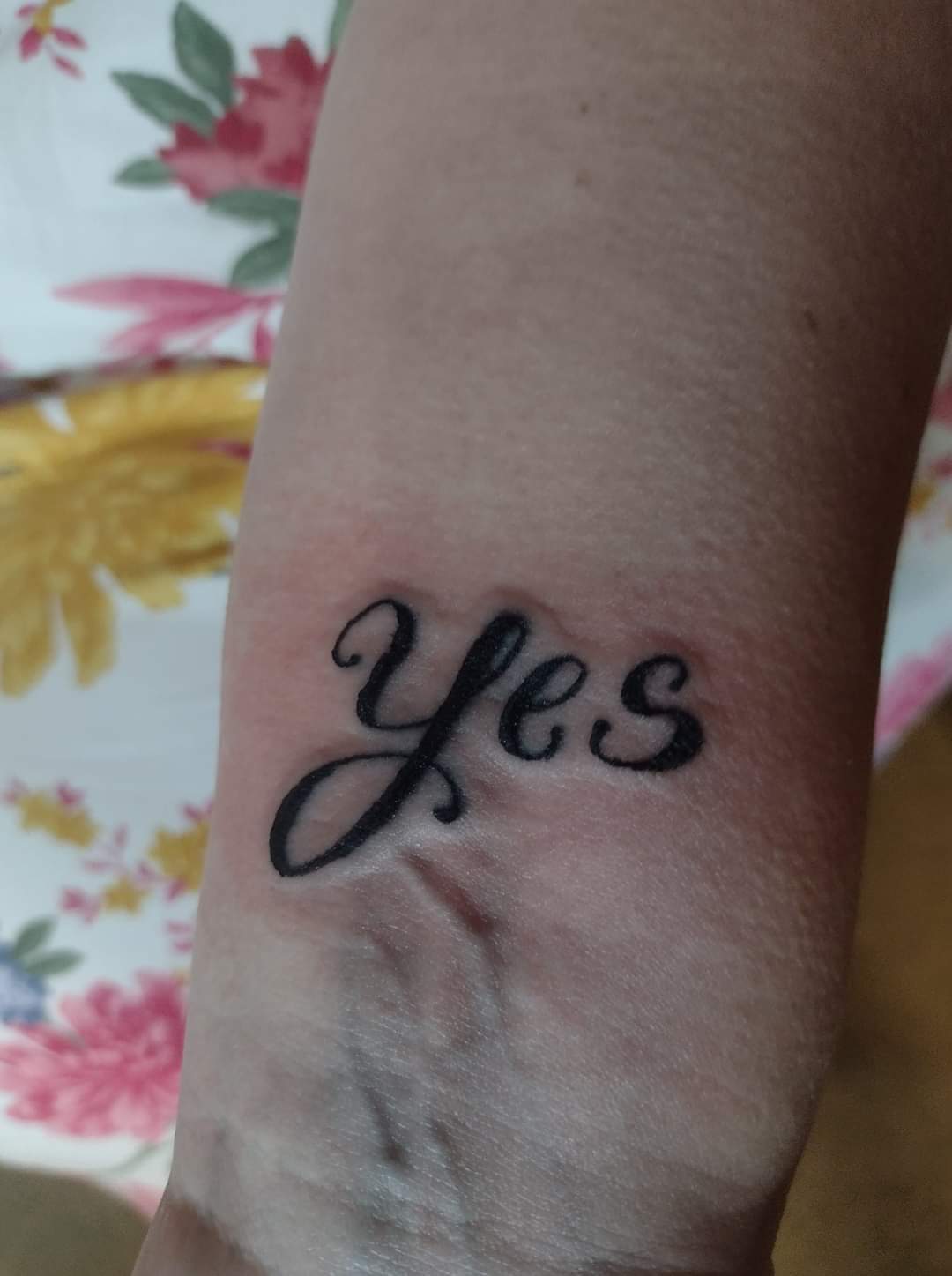 Meet a N.B. woman who spent a year saying yes to new adventures - image