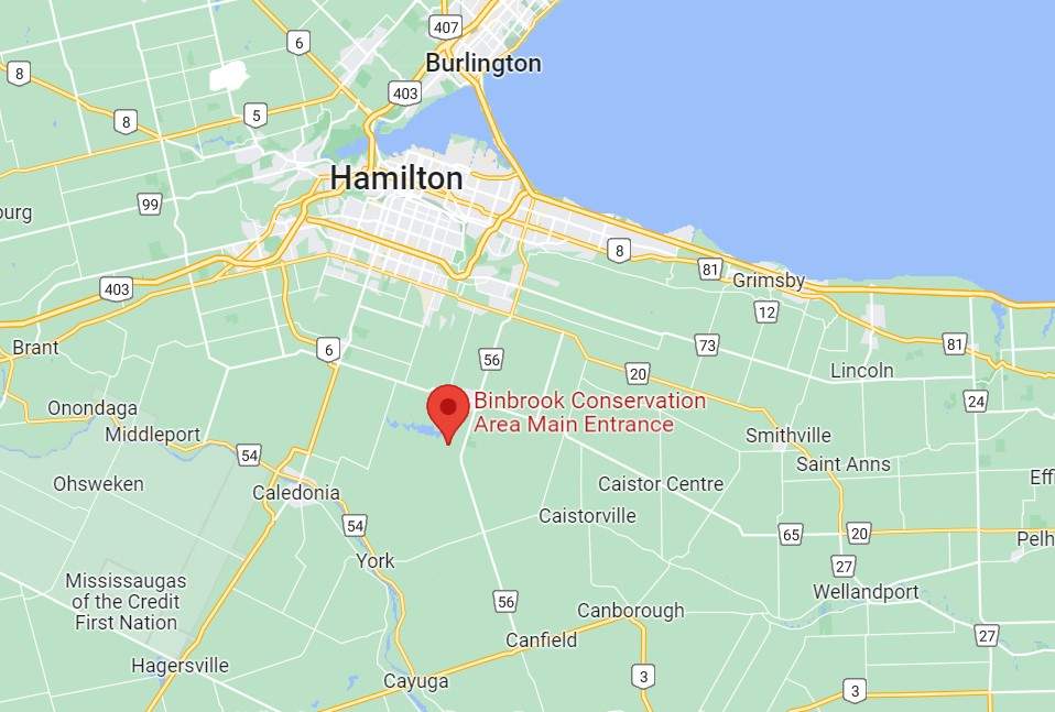 Tragic end to search for missing girl in Binbrook Conservation Area - image