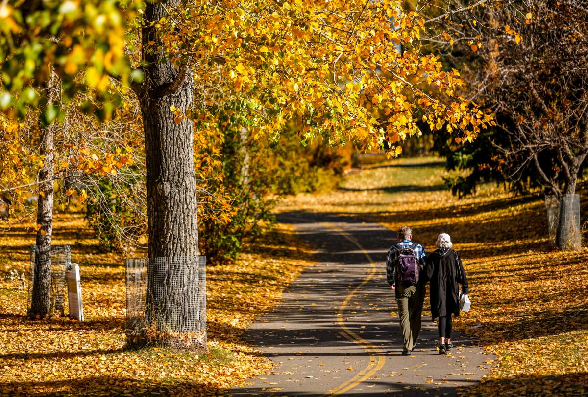 Canada fall forecast