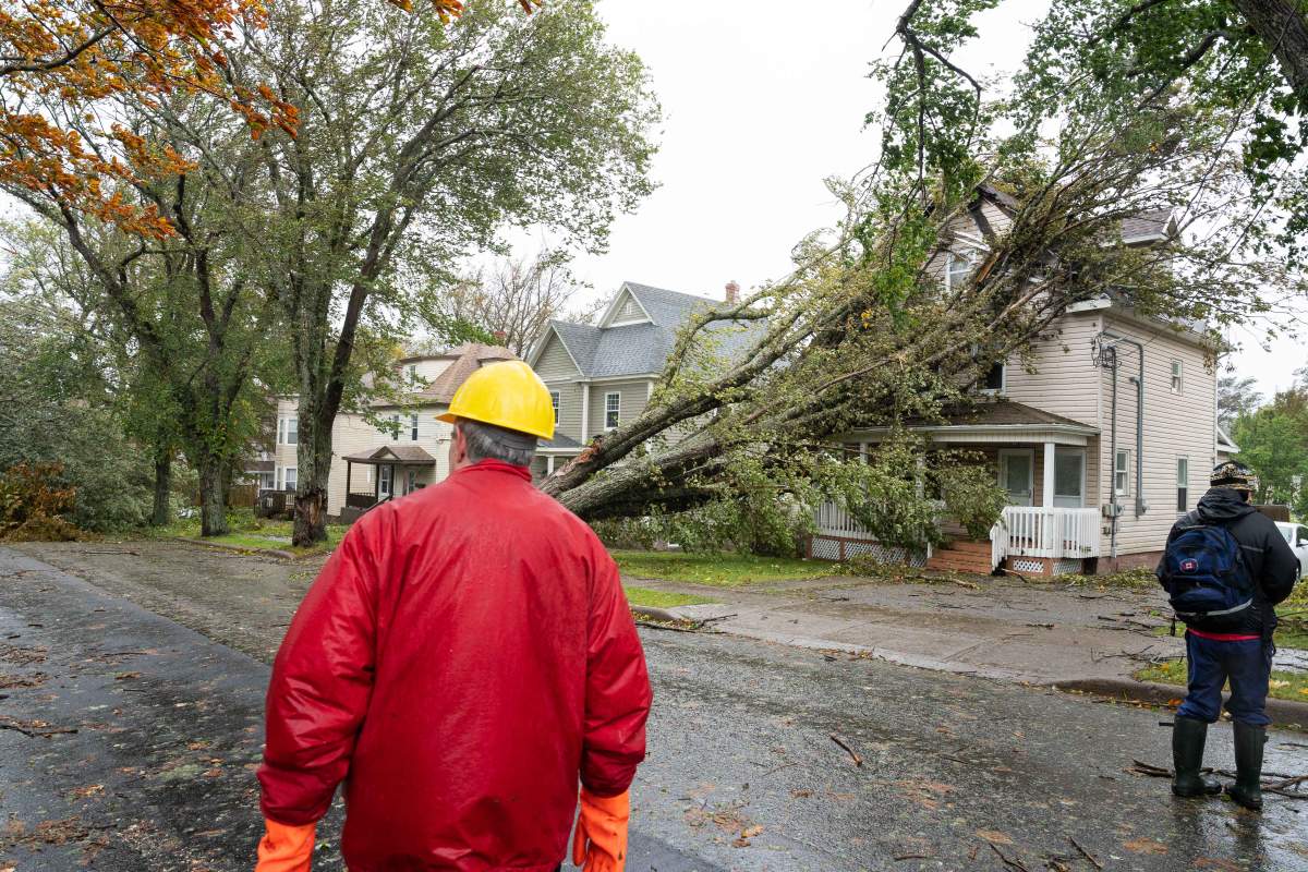 Workers survey damage to a street in Sydney’s Ashby neighbourhood.