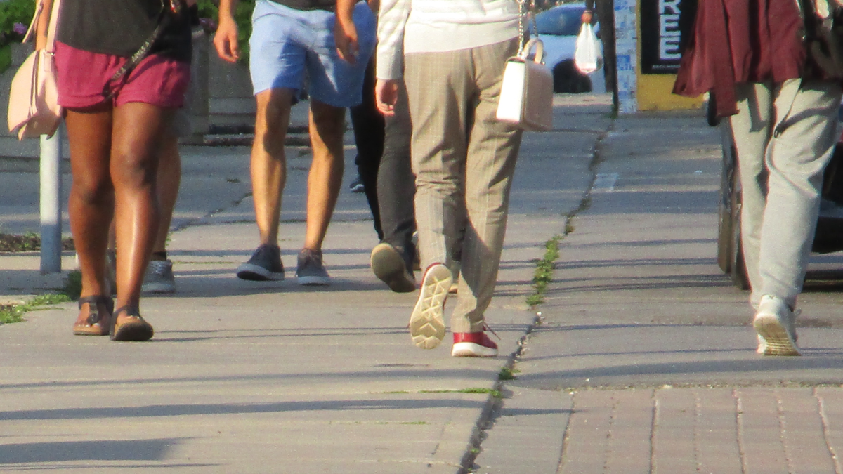 A Hamilton-based group is asking voters in the upcoming municipal election what they want the future of this city to be.
