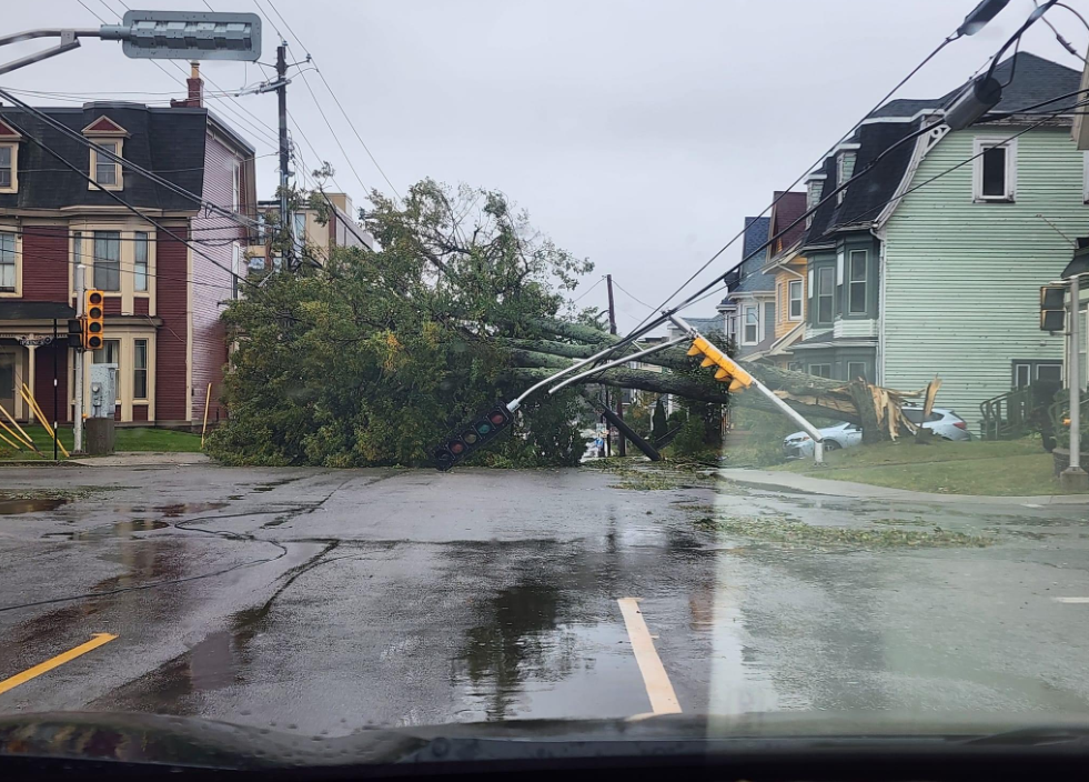 Image of a toppled tree and traffic light in Charlottetown, PEI on Sept/ 24.