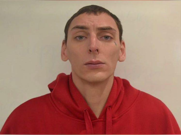 Convicted sex offender, Lucas Petrini was arrested last week for alleged breach probation orders.