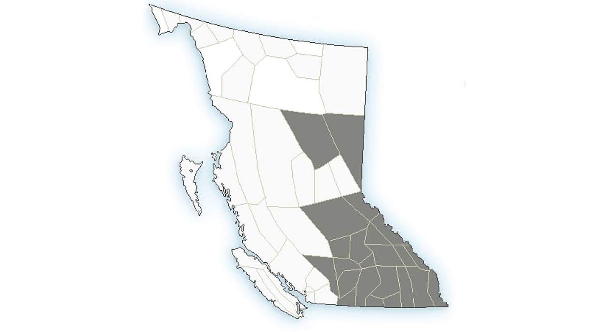 A map showing regions of B.C. under air quality statements on Saturday, Sept. 3, 2022, because of wildfire smoke.
