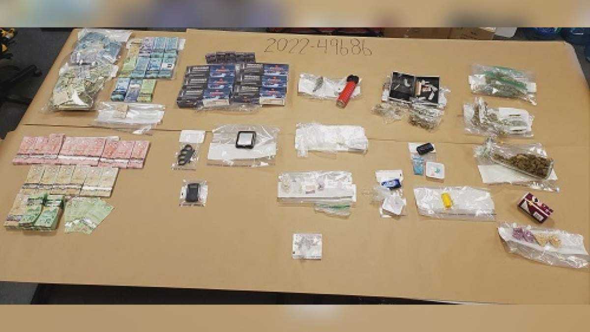 Surrey RCMP seized large amounts of illicit drugs and cash from a business.