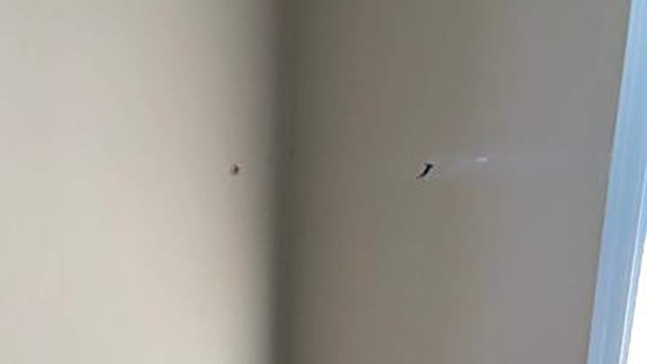A photo of a metal shard from the explosion that embedded in the wall of a nearby house.