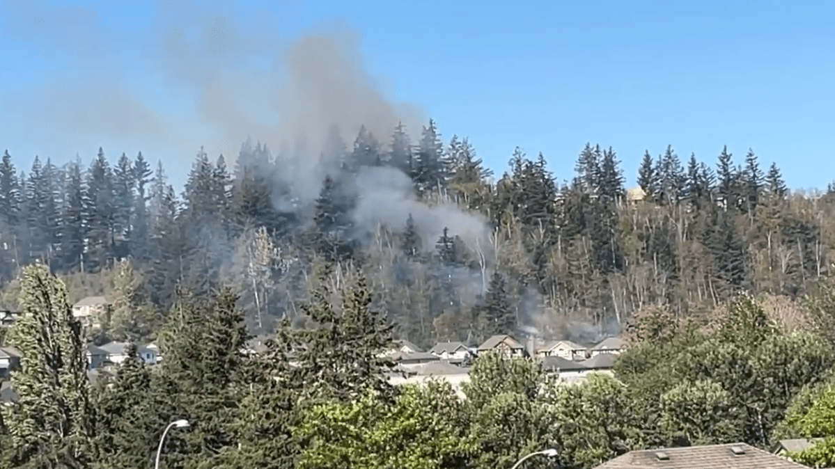 Smoke seen rising from a brush fire near homes in Chilliwack. 