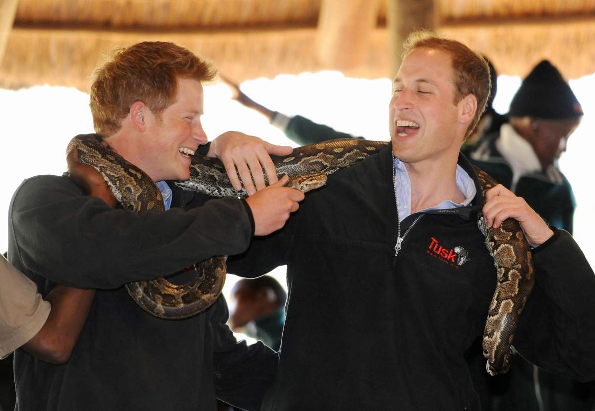 File photo dated 15/6/2010 of Prince Harry and Prince William pose with a rock python during a visit to the Mokolodi Nature Reserve in Gabarone, Botswana.