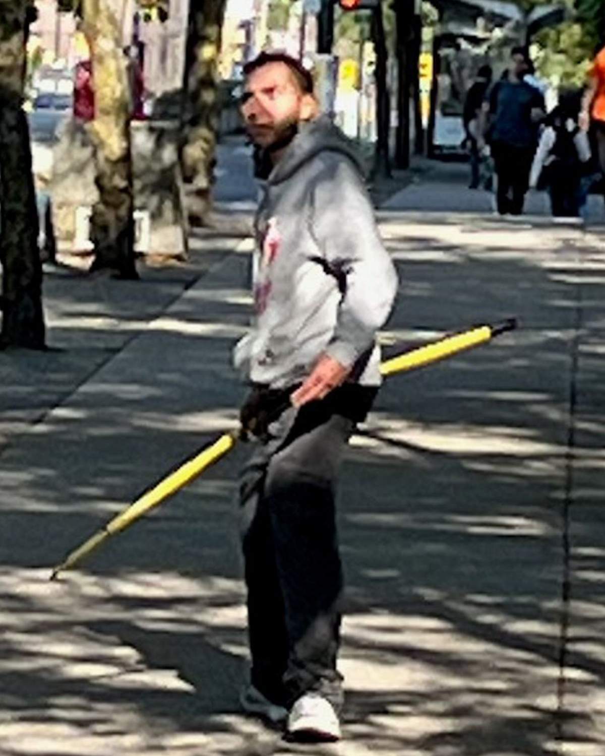Hate crime suspect