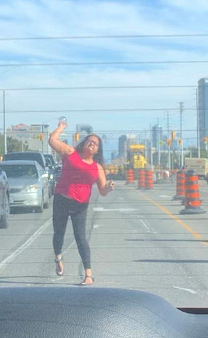 Mississauga road rage