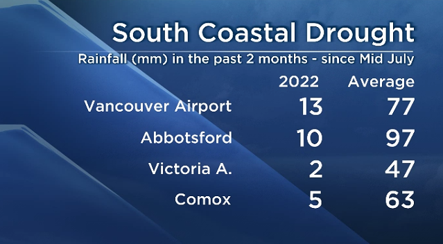 South coast rain