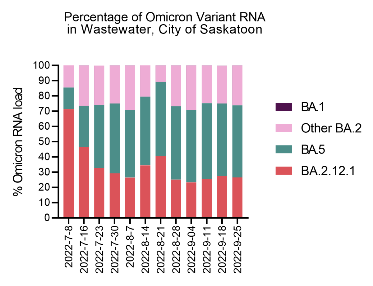 Percentage of Omicron variant RNA in the wastewater in Saskatoon.