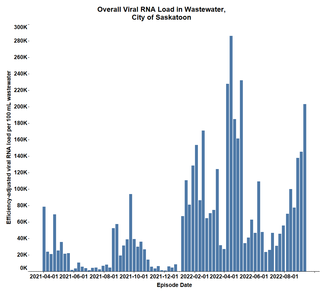 The overall viral RNA load in wastewater in the City of Saskatoon.