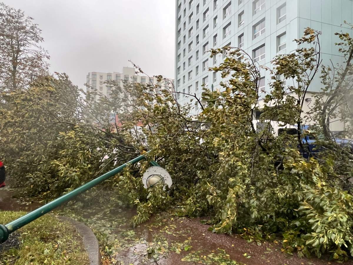 Damage is widespread in Sydney, N,S,