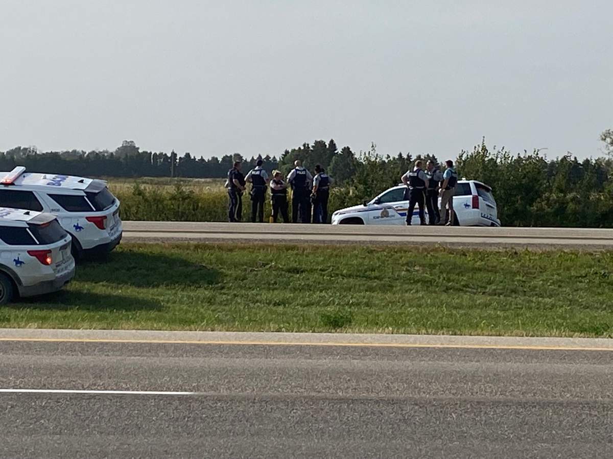 Saskatchewan RCMP on the scene near Rosthern, Sask, where Myles Sanderson was captured.