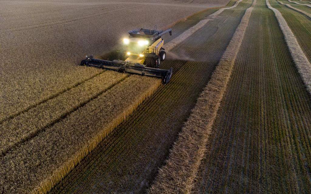 Harvest wrap up