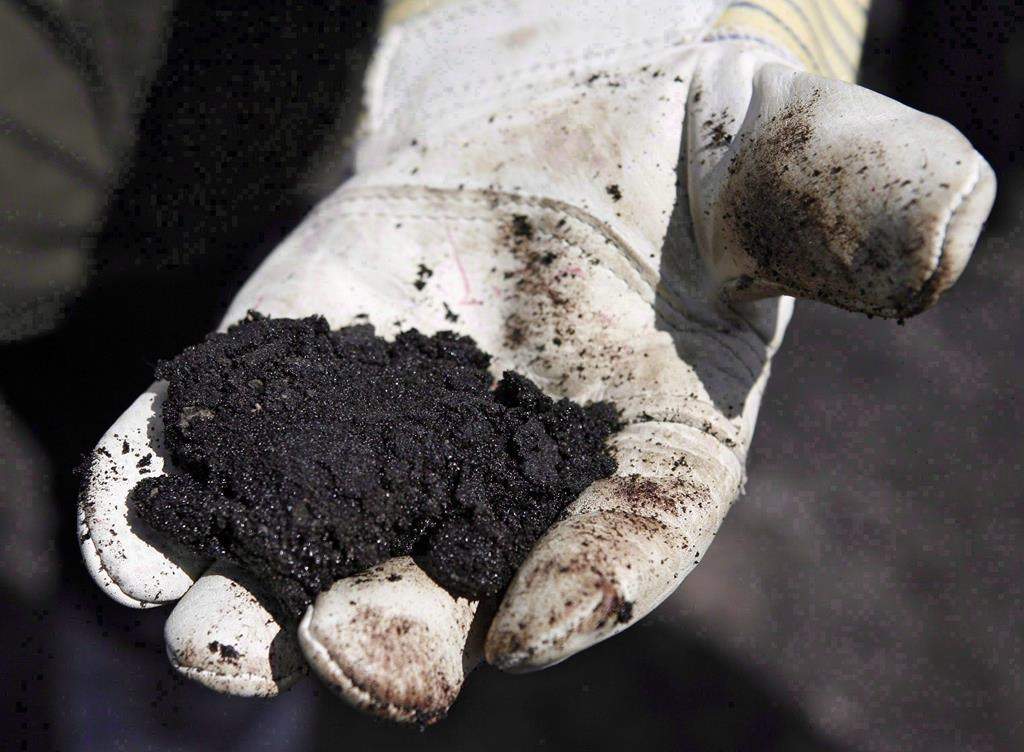 An oil worker holds raw oilsands near Fort McMurray, Alta., July 9, 2008. The difference between the price of Western Canada Select (WCS) — an oilsands bitumen blend — and New York-traded West Texas Intermediate (WTI) has widened dramatically in October, to more than US$25 per barrel, according to a Scotiabank report.