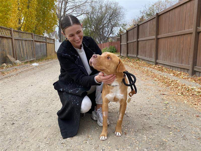 Luca, will be available for adoption as soon as his stitches are removed and he is medically cleared.