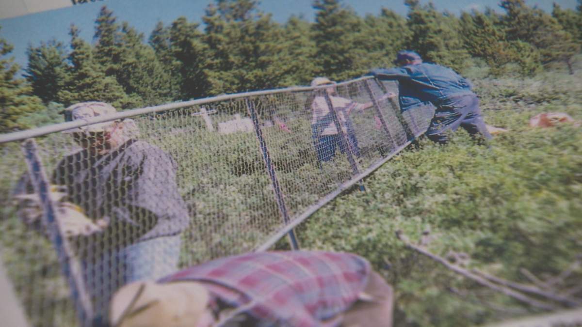 Mountain Park Fence Building
