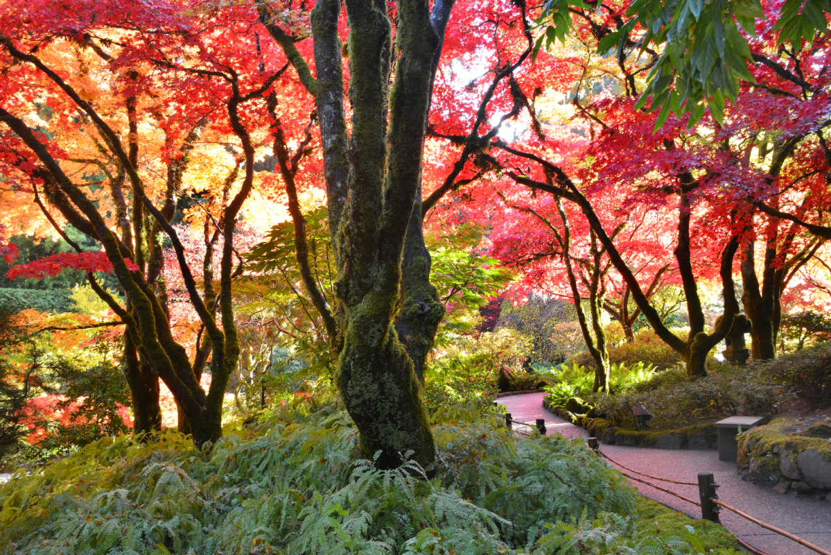 Butchart Gardens