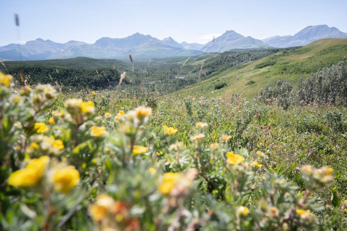 Yarrow Creek Ranch, August 2022
