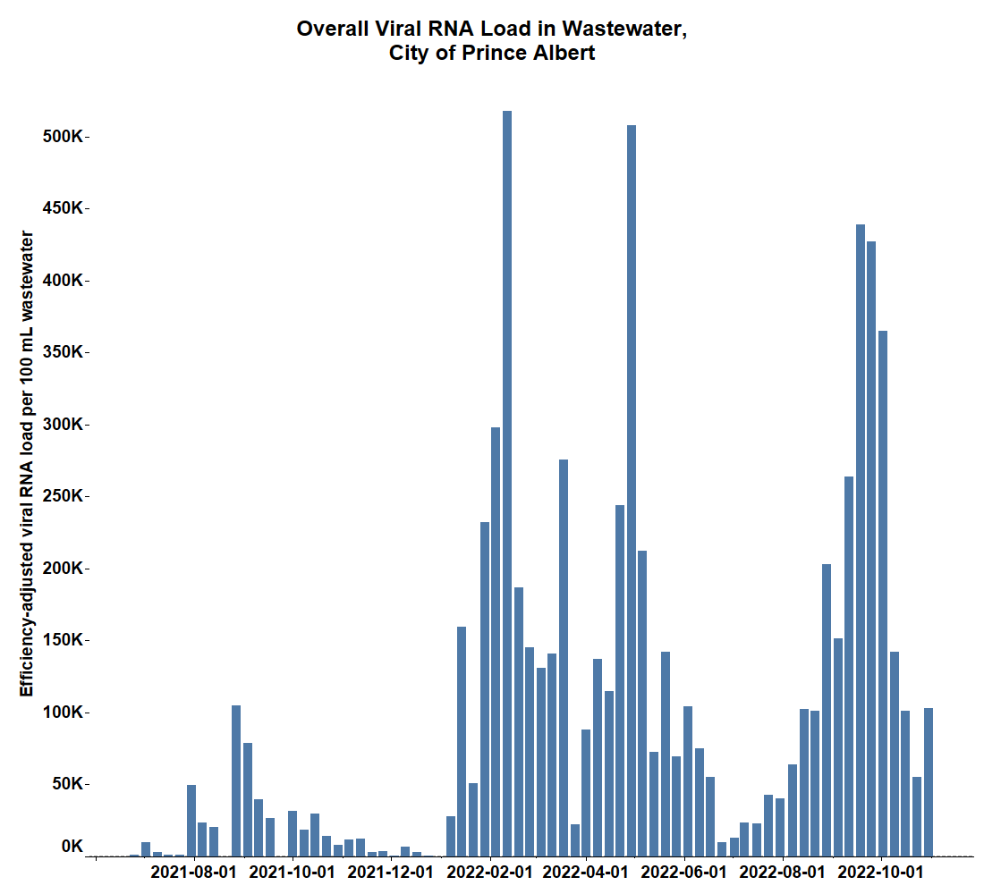 The overall RNA load found in the waster in Prince Albert.