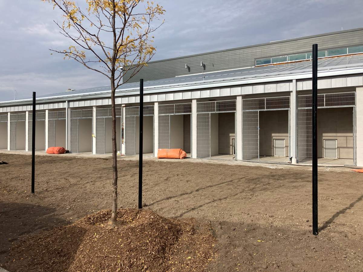 Dog suites under construction for the new animal care centre.