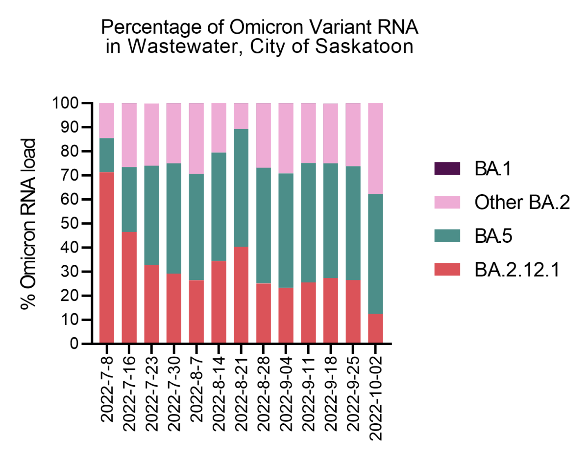 Percentage of Omicron variant RNA found in the wastewater in Saskatoon.