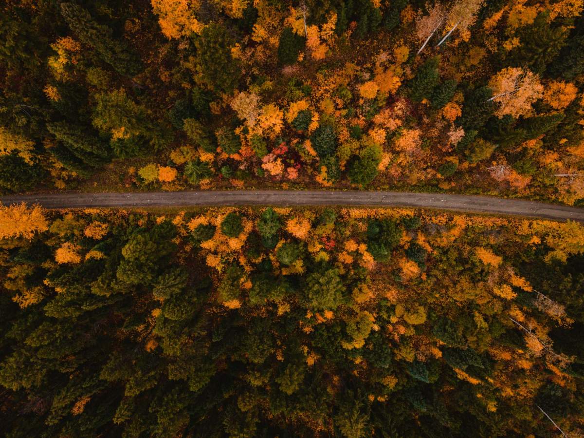 Sun Peaks Resort