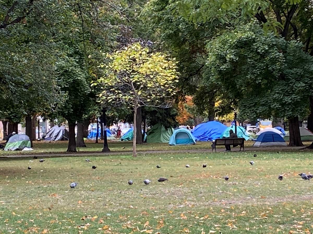 Allan Gardens Encampment